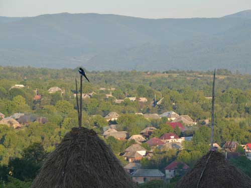 Foto Dimineata in Breb (c) Petru Goja